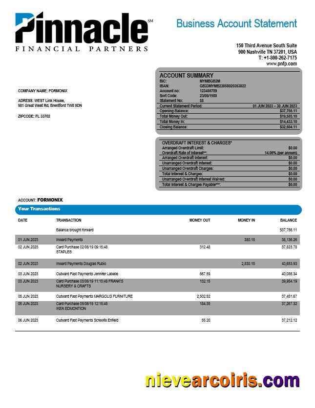Pinnacle Financial Bank firm account statement